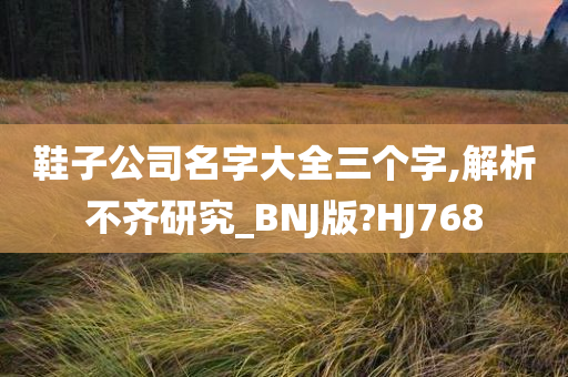 鞋子公司名字大全三个字,解析不齐研究_BNJ版?HJ768