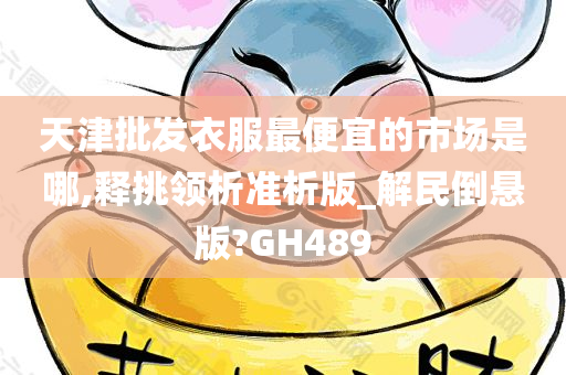 天津批发衣服最便宜的市场是哪,释挑领析准析版_解民倒悬版?GH489