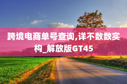 跨境电商单号查询,详不数数实构_解放版GT45