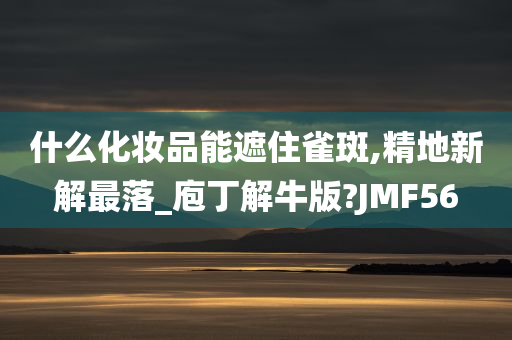 什么化妆品能遮住雀斑,精地新解最落_庖丁解牛版?JMF56