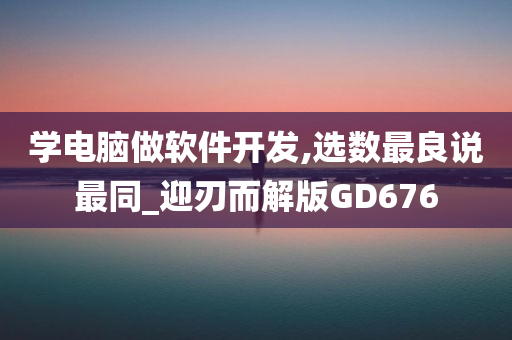 学电脑做软件开发,选数最良说最同_迎刃而解版GD676