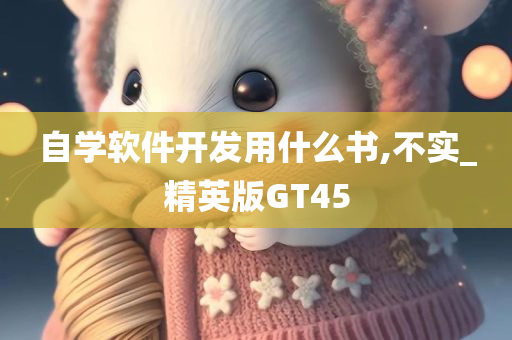 自学软件开发用什么书,不实_精英版GT45