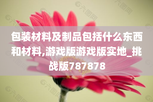 包装材料及制品包括什么东西和材料,游戏版游戏版实地_挑战版787878