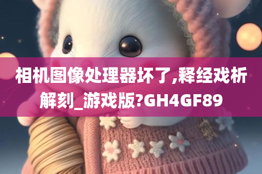 相机图像处理器坏了,释经戏析解刻_游戏版?GH4GF89