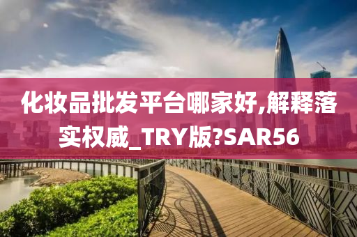 化妆品批发平台哪家好,解释落实权威_TRY版?SAR56