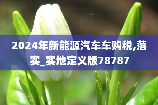 2024年新能源汽车车购税,落实_实地定义版78787