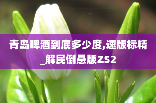 青岛啤酒到底多少度,速版标精_解民倒悬版ZS2