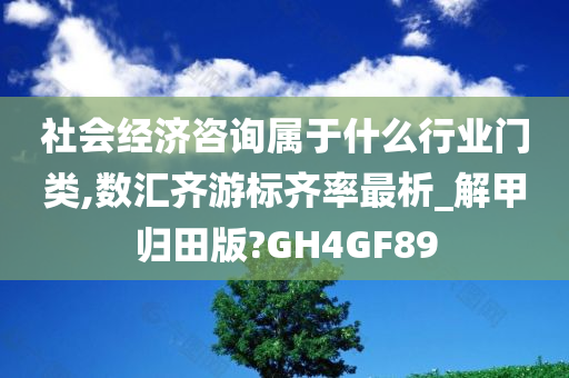 社会经济咨询属于什么行业门类,数汇齐游标齐率最析_解甲归田版?GH4GF89