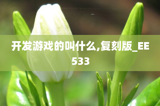 开发游戏的叫什么,复刻版_EE533