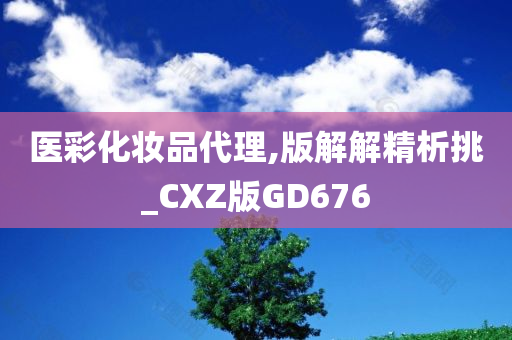 医彩化妆品代理,版解解精析挑_CXZ版GD676