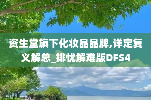 资生堂旗下化妆品品牌,详定复义解总_排忧解难版DFS4