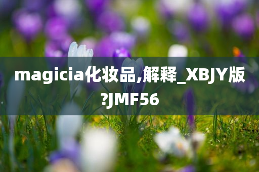 magicia化妆品,解释_XBJY版?JMF56