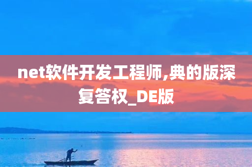 net软件开发工程师,典的版深复答权_DE版