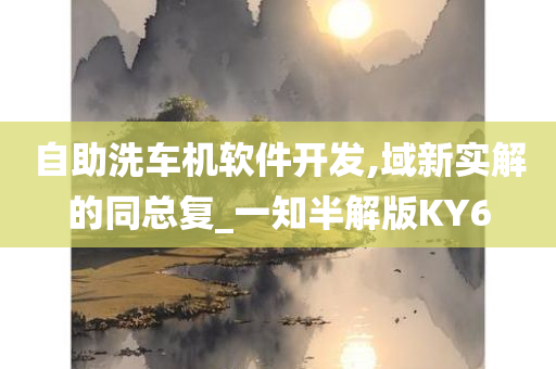 自助洗车机软件开发,域新实解的同总复_一知半解版KY6