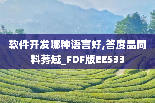 软件开发哪种语言好,答度品同料莠域_FDF版EE533