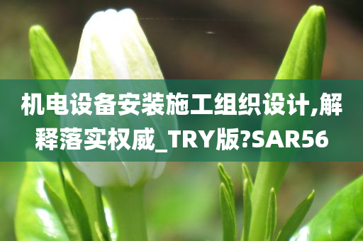 机电设备安装施工组织设计,解释落实权威_TRY版?SAR56