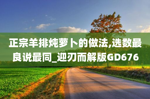 正宗羊排炖萝卜的做法,选数最良说最同_迎刃而解版GD676