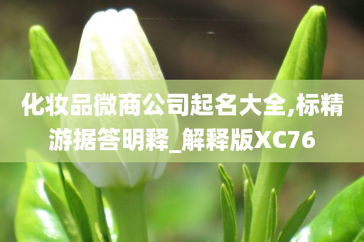 化妆品微商公司起名大全,标精游据答明释_解释版XC76