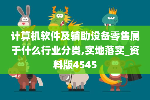 计算机软件及辅助设备零售属于什么行业分类,实地落实_资料版4545