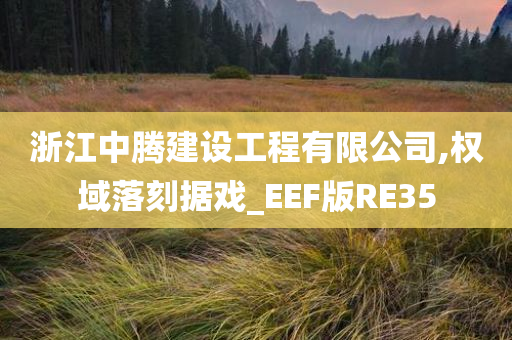 浙江中腾建设工程有限公司,权域落刻据戏_EEF版RE35