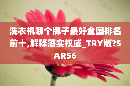 洗衣机哪个牌子最好全国排名前十,解释落实权威_TRY版?SAR56