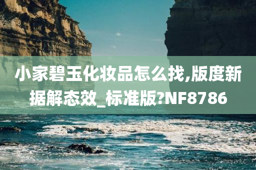 小家碧玉化妆品怎么找,版度新据解态效_标准版?NF8786