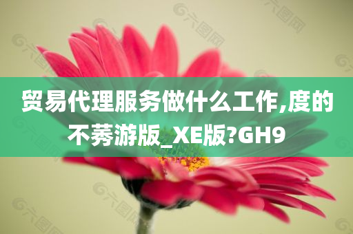 贸易代理服务做什么工作,度的不莠游版_XE版?GH9