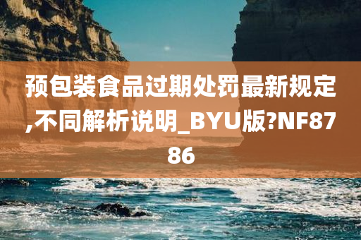 预包装食品过期处罚最新规定,不同解析说明_BYU版?NF8786