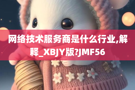 网络技术服务商是什么行业,解释_XBJY版?JMF56