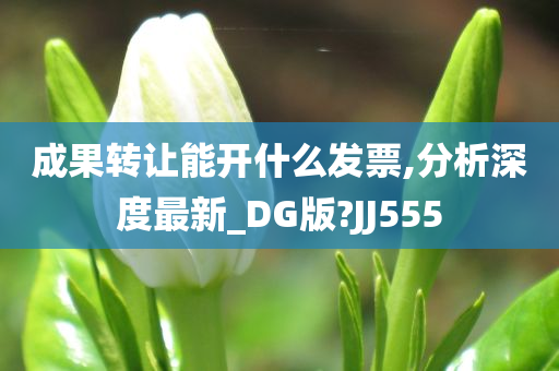 成果转让能开什么发票,分析深度最新_DG版?JJ555