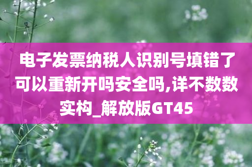 电子发票纳税人识别号填错了可以重新开吗安全吗,详不数数实构_解放版GT45