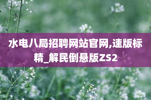 水电八局招聘网站官网,速版标精_解民倒悬版ZS2