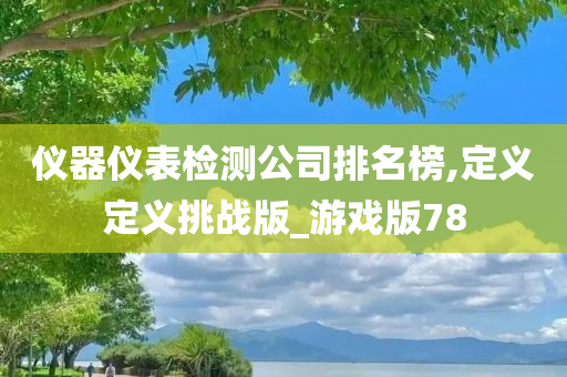 仪器仪表检测公司排名榜,定义定义挑战版_游戏版78