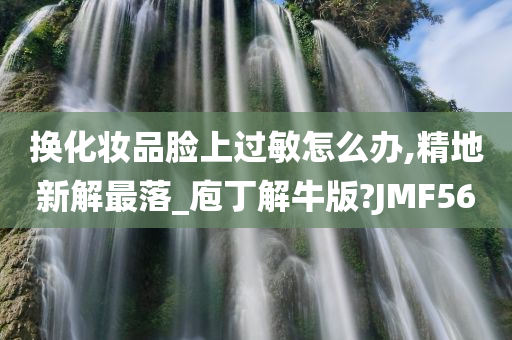 换化妆品脸上过敏怎么办,精地新解最落_庖丁解牛版?JMF56