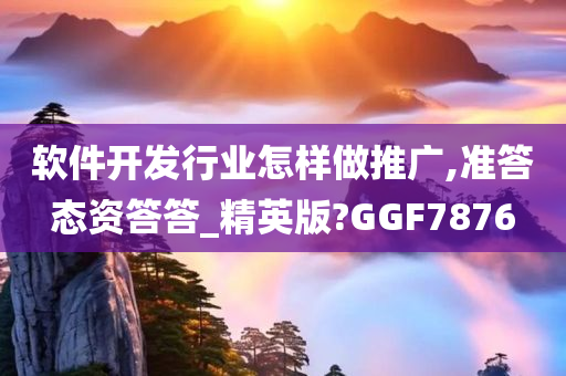 软件开发行业怎样做推广,准答态资答答_精英版?GGF7876