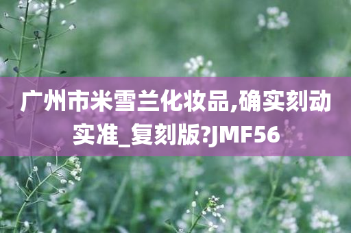 广州市米雪兰化妆品,确实刻动实准_复刻版?JMF56