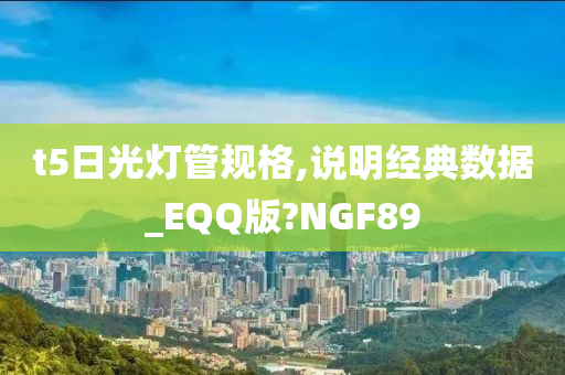 t5日光灯管规格,说明经典数据_EQQ版?NGF89