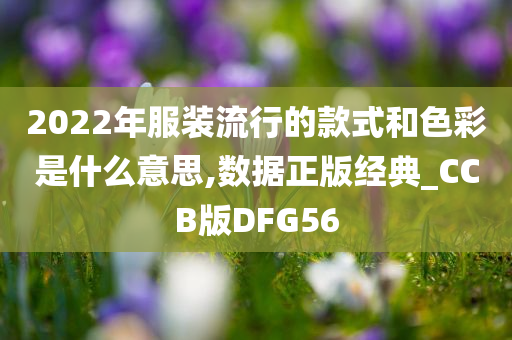 2022年服装流行的款式和色彩是什么意思,数据正版经典_CCB版DFG56