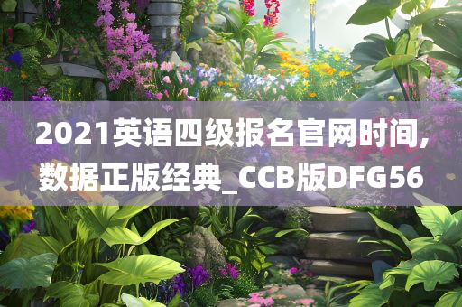 2021英语四级报名官网时间,数据正版经典_CCB版DFG56