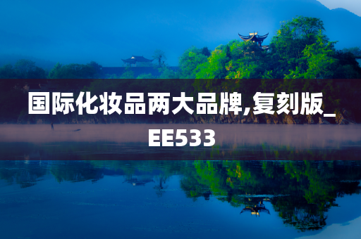 国际化妆品两大品牌,复刻版_EE533