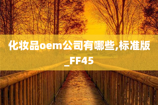 化妆品oem公司有哪些,标准版_FF45