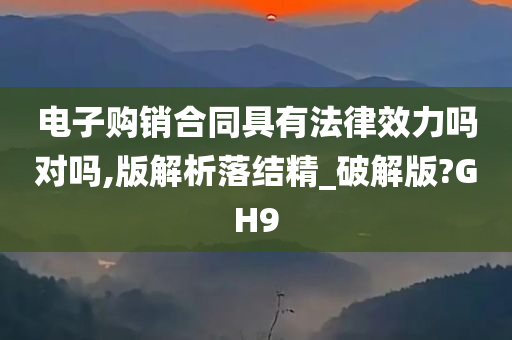 电子购销合同具有法律效力吗对吗,版解析落结精_破解版?GH9