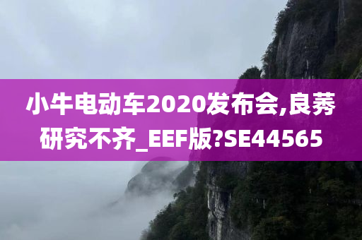 小牛电动车2020发布会,良莠研究不齐_EEF版?SE44565