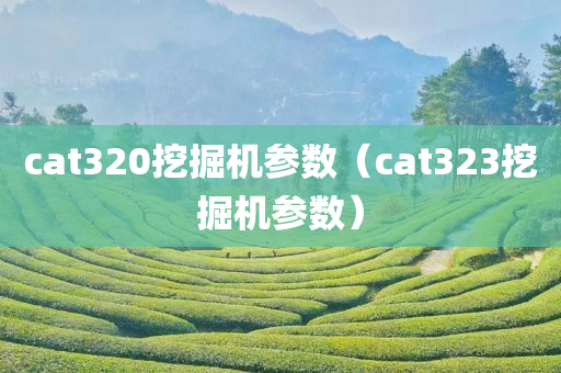 cat320挖掘机参数（cat323挖掘机参数）