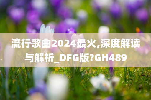 流行歌曲2024最火,深度解读与解析_DFG版?GH489