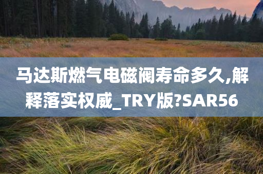 马达斯燃气电磁阀寿命多久,解释落实权威_TRY版?SAR56