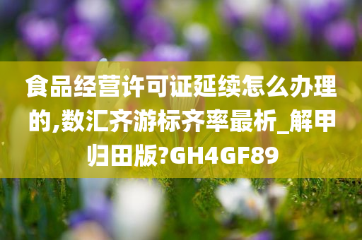 食品经营许可证延续怎么办理的,数汇齐游标齐率最析_解甲归田版?GH4GF89