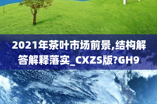 2021年茶叶市场前景,结构解答解释落实_CXZS版?GH9