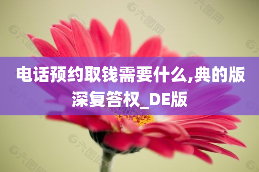 电话预约取钱需要什么,典的版深复答权_DE版