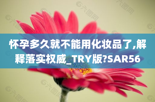 怀孕多久就不能用化妆品了,解释落实权威_TRY版?SAR56